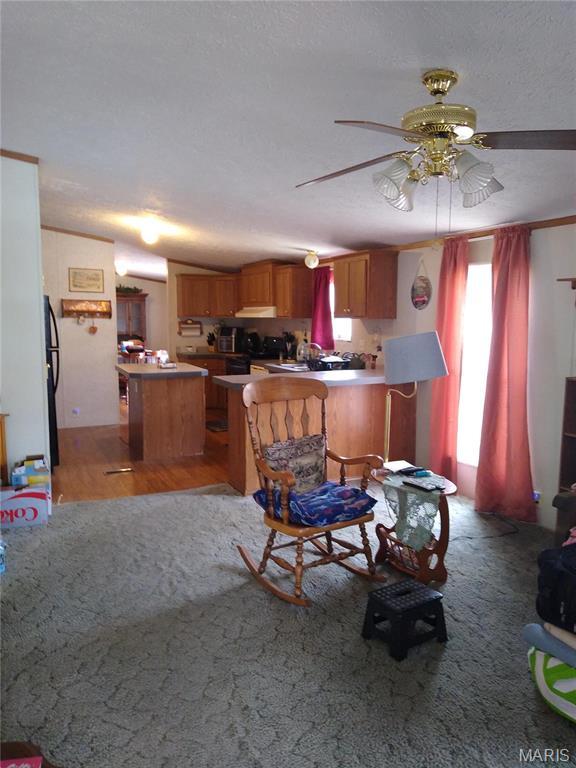 1030 Butler Rd, Tilden, IL 62292 - living area with a ceiling fan and a textured ceiling