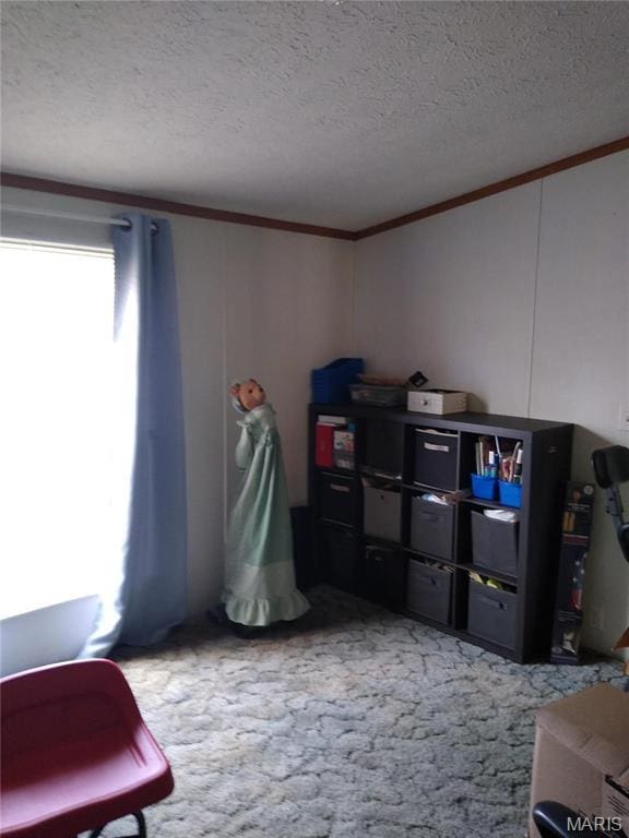 1030 Butler Rd, Tilden, IL 62292 - view of storage area