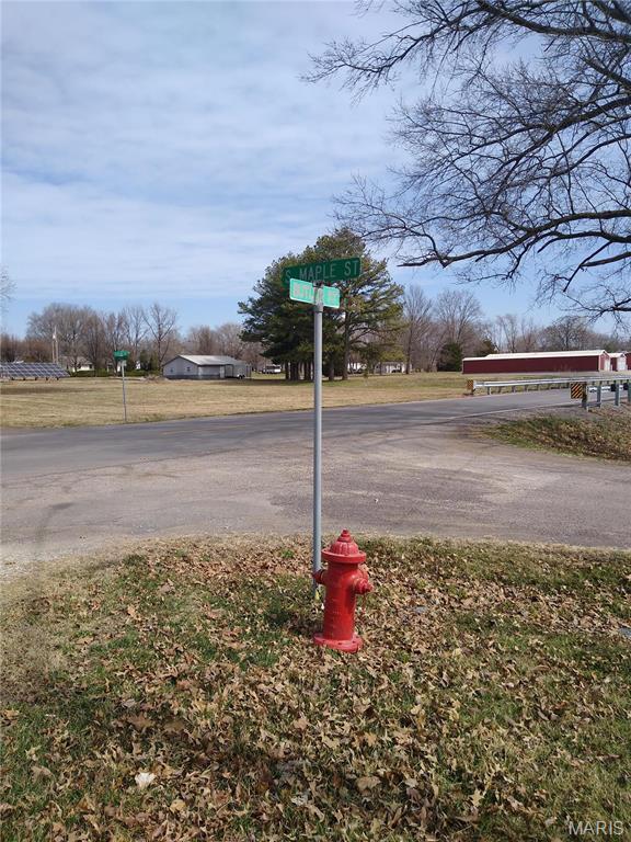1030 Butler Rd, Tilden, IL 62292 - view of asphalt street