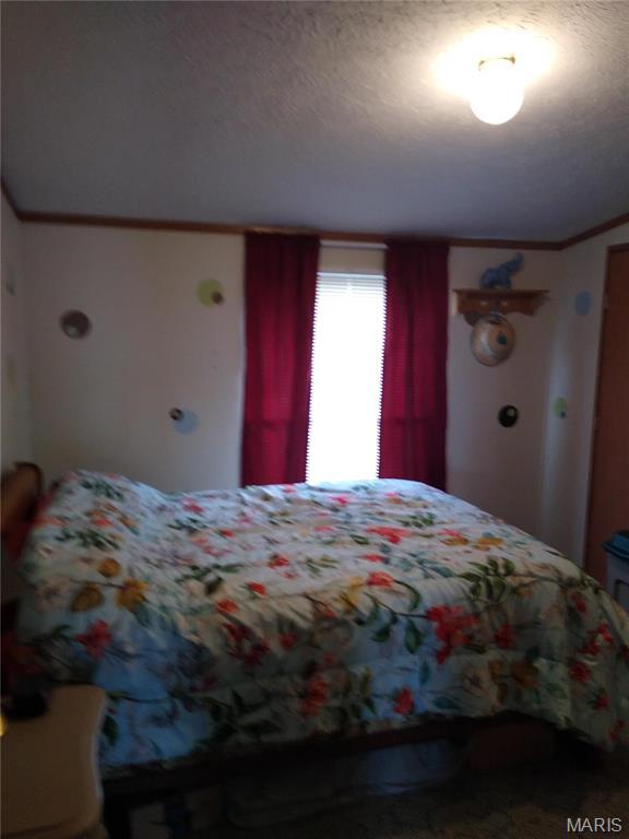 1030 Butler Rd, Tilden, IL 62292 - view of bedroom