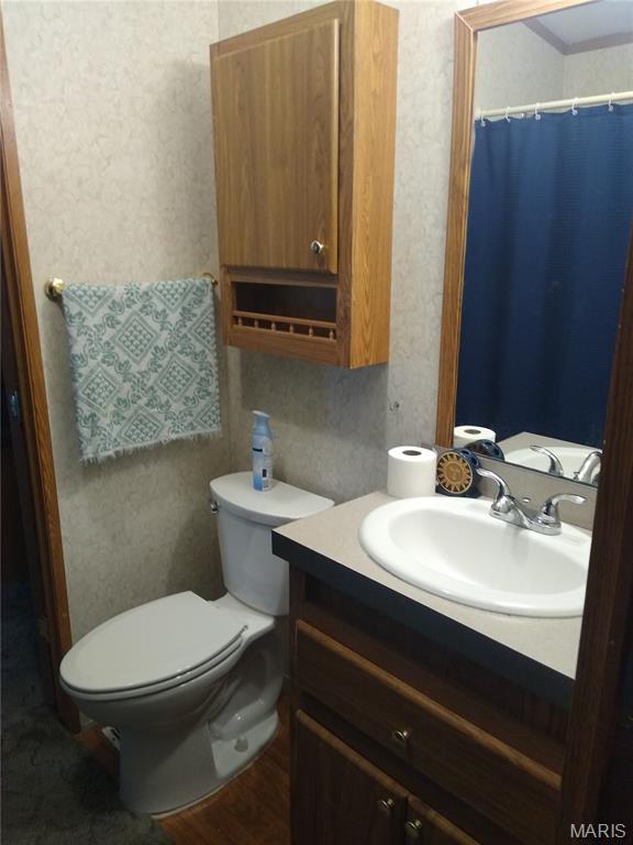 1030 Butler Rd, Tilden, IL 62292 - bathroom with vanity and a shower with curtain
