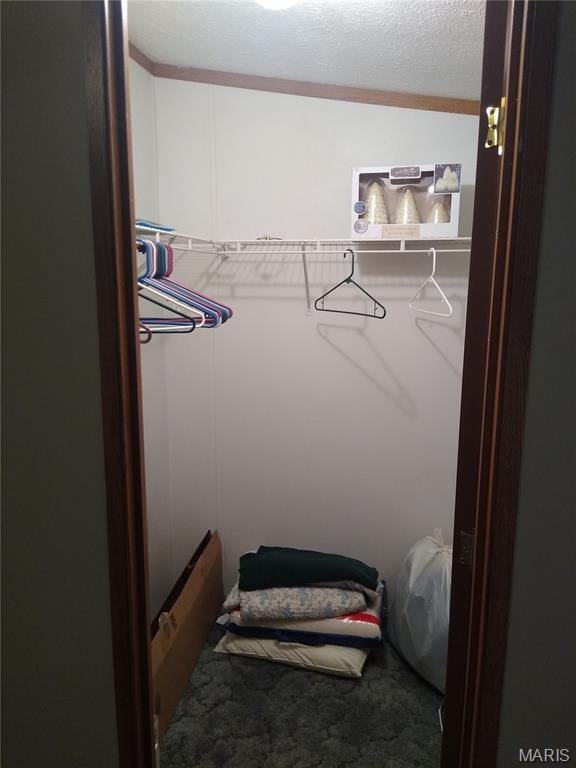1030 Butler Rd, Tilden, IL 62292 - spacious closet with carpet flooring