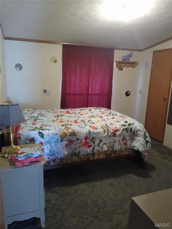 1030 Butler Rd, Tilden, IL 62292 - bedroom featuring carpet flooring and a textured ceiling