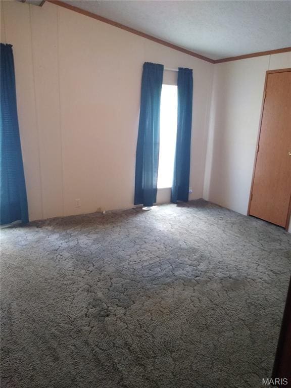 1030 Butler Rd, Tilden, IL 62292 - carpeted spare room with crown molding and a textured ceiling