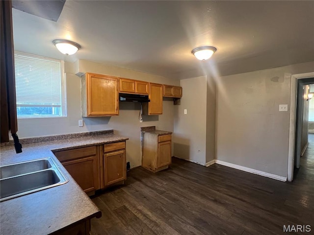 5109 Cote Brilliante Ave, Saint Louis, MO 63113 - kitchen featuring under cabinet range hood and dark wood-style flooring