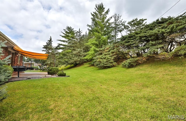 10327 Dorenshire Ct, Saint Louis, MO 63128 - photo 34