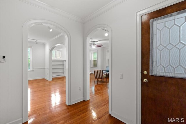 6240 Rosebury Ave Unit 1W, Saint Louis, MO 63105 - photo 4