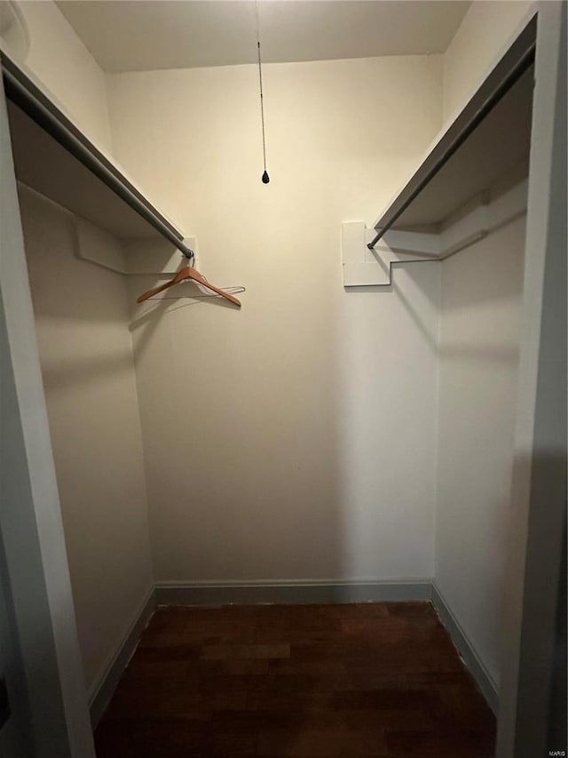 walk in closet with dark wood finished floors
