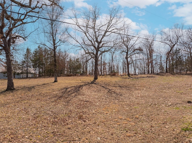 51 County Road 620a, Isabella, MO 65676 - view of yard