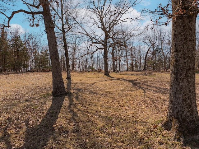 51 County Road 620a, Isabella, MO 65676 - view of local wilderness