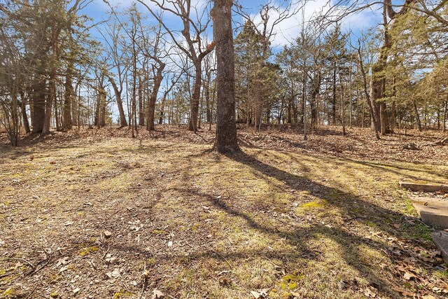 51 County Road 620a, Isabella, MO 65676 - view of yard