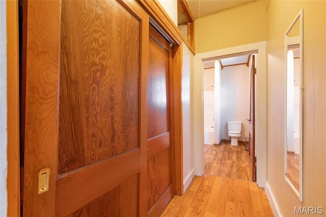 533 Locust St, Carrollton, IL 62016 - corridor with light wood-type flooring