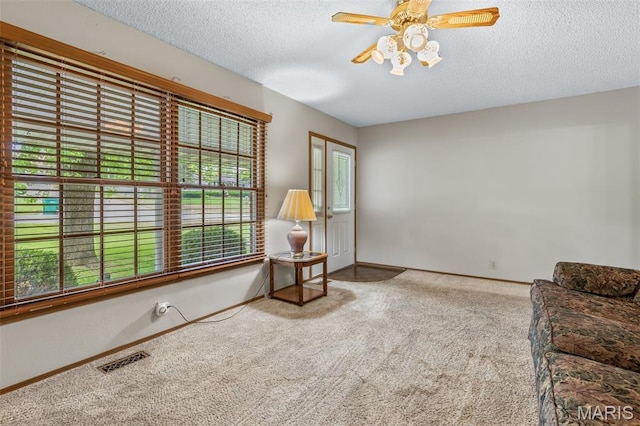 423 Rice Rd, Bonne Terre, MO 63628 - unfurnished room with plenty of natural light, carpet flooring, a textured ceiling, and baseboards