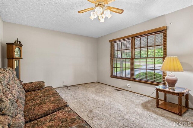 423 Rice Rd, Bonne Terre, MO 63628 - sitting room with carpet flooring, ceiling fan, a textured ceiling, and baseboards