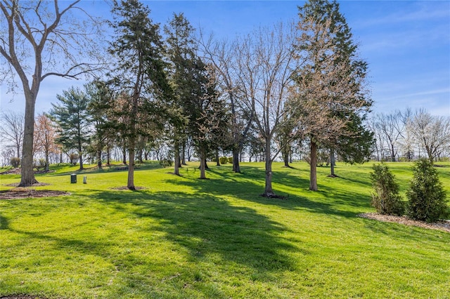 1155 Whitmoor Dr, Weldon Spring, MO 63304 - view of property's community with a lawn
