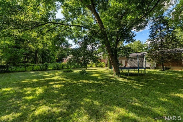 2418 Castle Dr, Saint Louis, MO 63136 - photo 22