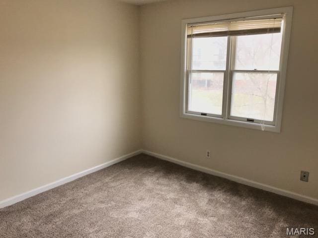1723 Canary Cv, Brentwood, MO 63144 - spare room with carpet floors, baseboards, and plenty of natural light