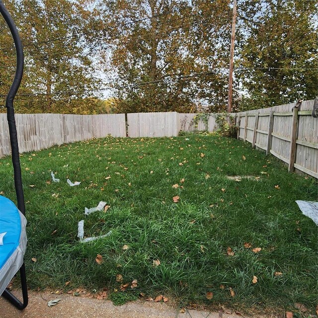2438 Lemp Ave, Saint Louis, MO 63104 - view of yard