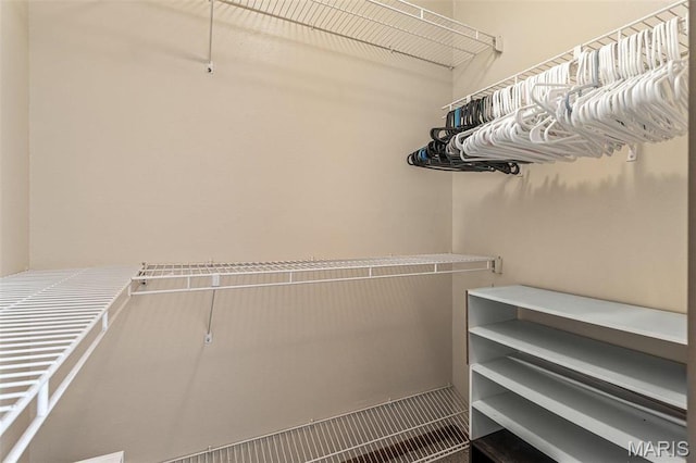 207 Normandie Dr, Bonne Terre, MO 63628 - view of spacious closet