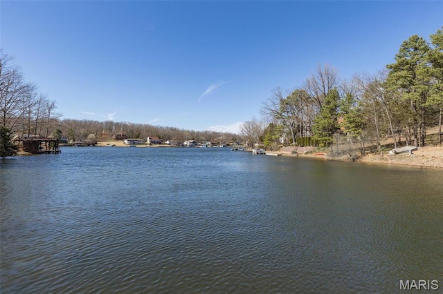207 Normandie Dr, Bonne Terre, MO 63628 - water view