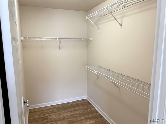 2 Monarch Trace Ct Unit 103, Chesterfield, MO 63017 - walk in closet with dark wood-style flooring