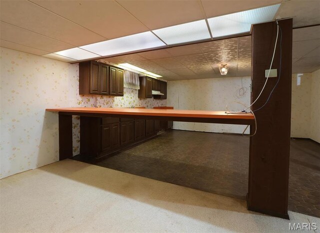 8032 Blue Mound Dr, Saint Rose, IL 62230 - bar featuring wallpapered walls, under cabinet range hood, carpet floors, and a paneled ceiling