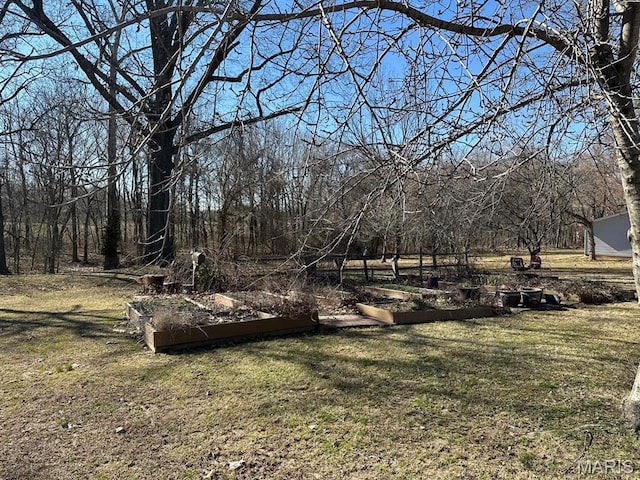 14348 Hidden Trails Cir, Dexter, MO 63841 - view of grassy yard with a garden