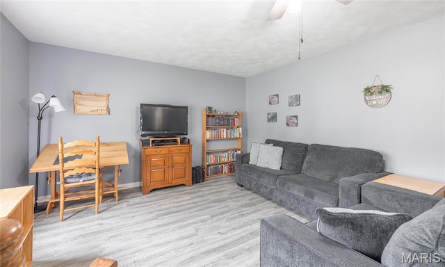 400 S Hickory St, Salem, MO 65560 - living room with light wood-type flooring and ceiling fan