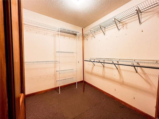 1505 Shelley Dr, Vandalia, IL 62471 - view of walk in closet