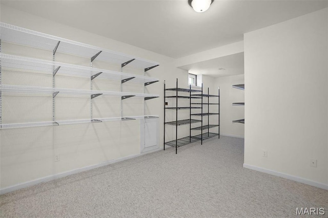 304 Spotted Fawn, Wentzville, MO 63385 - walk in closet with carpet flooring