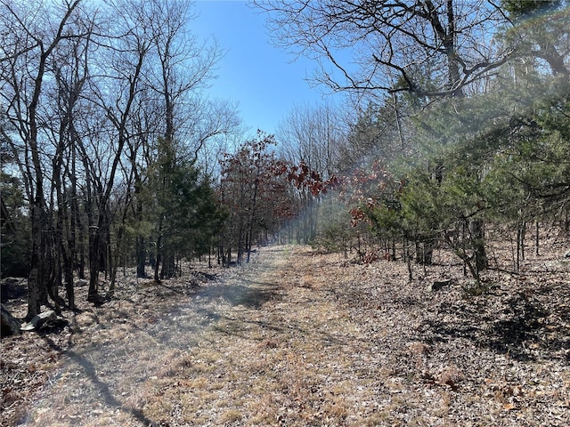 0 County Road 349a, Piedmont, MO 63957 - photo 1