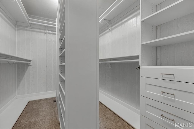 spacious closet with carpet floors
