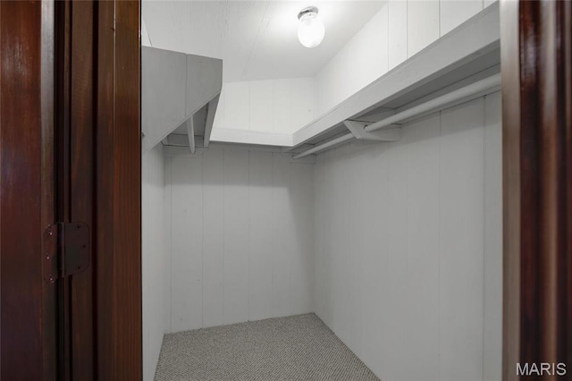 spacious closet featuring carpet flooring