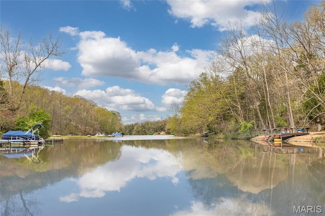water view featuring a heavily wooded area