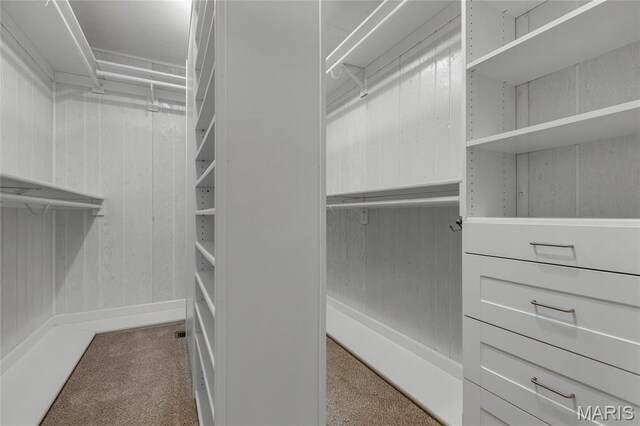 803 S Aspen Point Dr, Innsbrook, MO 63390 - walk in closet with carpet floors