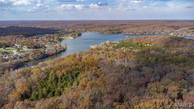 803 S Aspen Point Dr, Innsbrook, MO 63390 - view of property location featuring a heavily wooded area and a large body of water