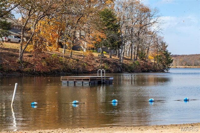 803 S Aspen Point Dr, Innsbrook, MO 63390 - water view with a floating dock