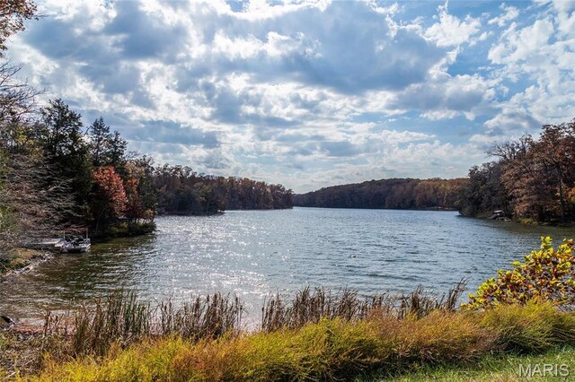 803 S Aspen Point Dr, Innsbrook, MO 63390 - water view with a heavily wooded area