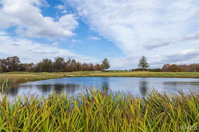 803 S Aspen Point Dr, Innsbrook, MO 63390 - water view