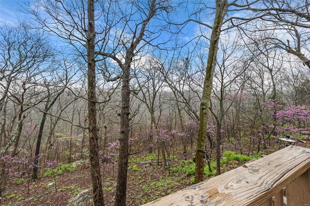 4650 Demaree St, House Springs, MO 63051 - view of wooded area