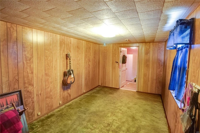 239 Olive St, Rockbridge, IL 62081 - unfurnished room featuring carpet and wood walls