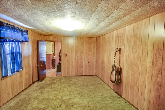 239 Olive St, Rockbridge, IL 62081 - spare room with light colored carpet and wood walls