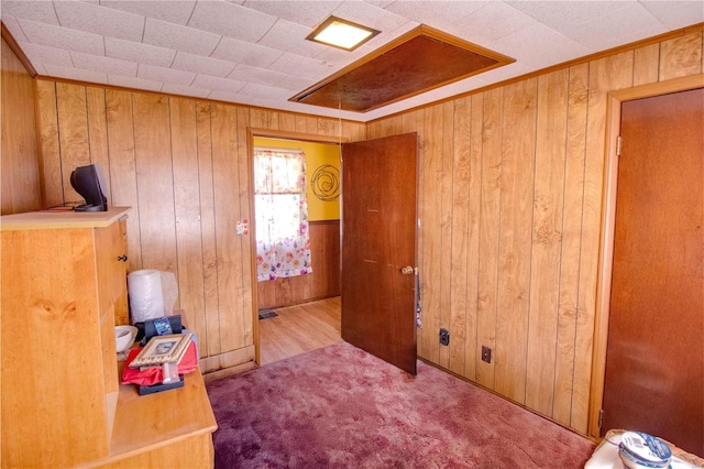 239 Olive St, Rockbridge, IL 62081 - bedroom featuring wooden walls and carpet flooring