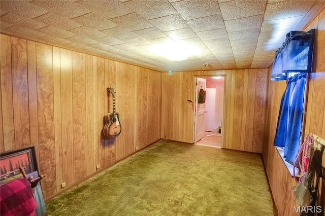 239 Olive St, Rockbridge, IL 62081 - carpeted empty room featuring wooden walls