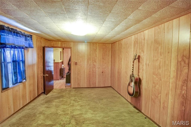 239 Olive St, Rockbridge, IL 62081 - unfurnished room featuring light colored carpet and wood walls