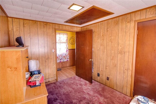239 Olive St, Rockbridge, IL 62081 - bedroom featuring wooden walls and carpet flooring