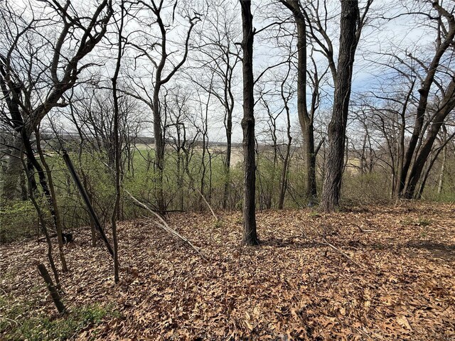 1227 Teson Rd, Hazelwood, MO 63042 - view of undeveloped land