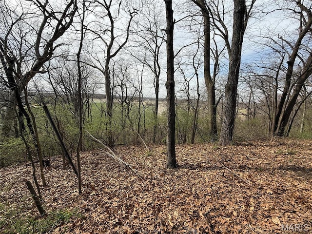 1227 Teson Rd, Hazelwood, MO 63042 - photo 4
