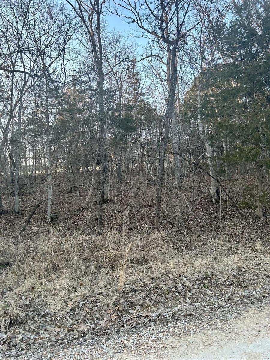 121 Briarwood Ter, De Soto, MO 63020 - photo 1
