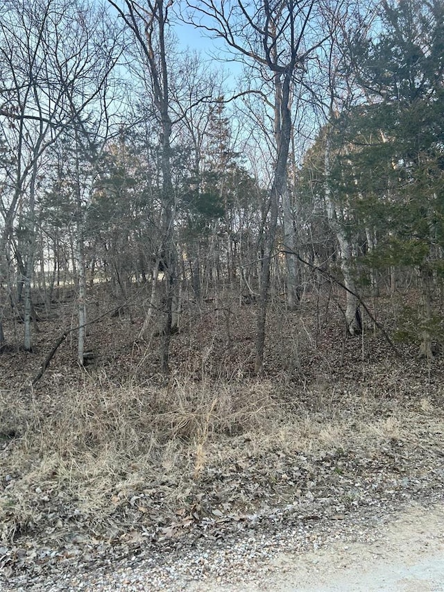 121 Briarwood Ter, De Soto, MO 63020 - photo 1